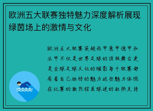 欧洲五大联赛独特魅力深度解析展现绿茵场上的激情与文化