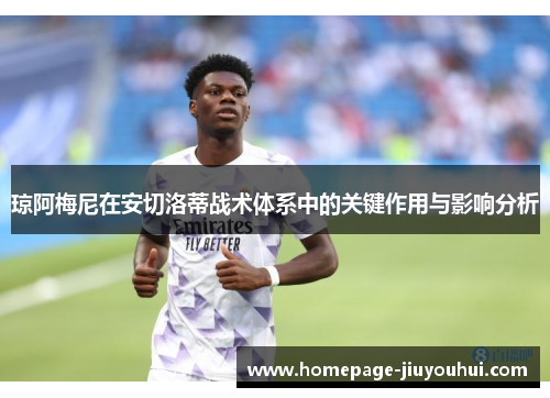 琼阿梅尼在安切洛蒂战术体系中的关键作用与影响分析 琼阿梅尼在安切洛蒂战术体系中的关键作用与影响分析