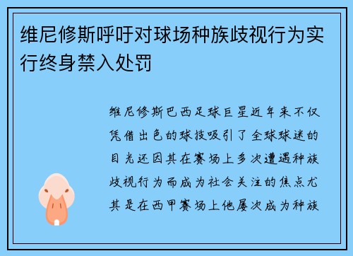 维尼修斯呼吁对球场种族歧视行为实行终身禁入处罚